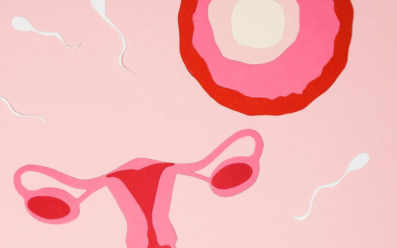 Fertility Drugs: How Do They Work?