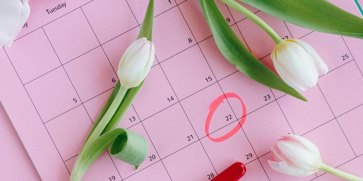 Understanding Your Cycle:Eating & Feeling in Sync with Your Body