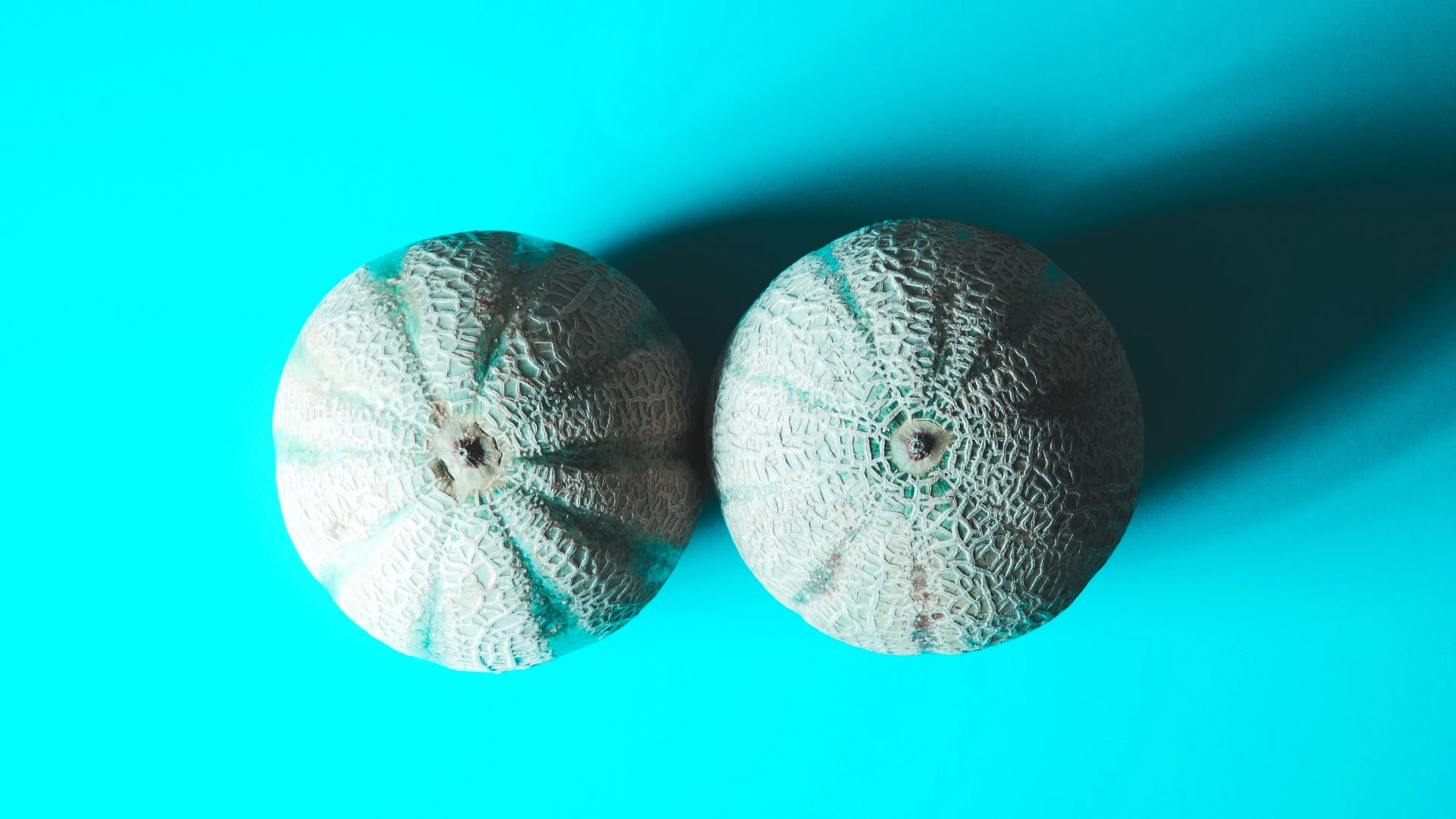 melons depicting breasts referring to mammograms
